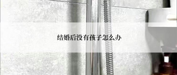  结婚后没有孩子怎么办