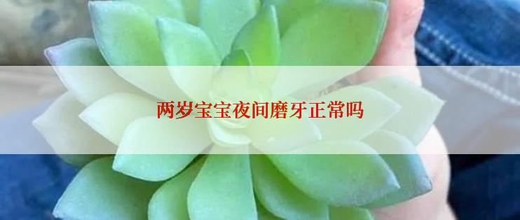 两岁宝宝夜间磨牙正常吗