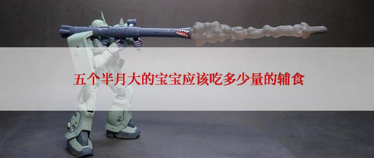  五个半月大的宝宝应该吃多少量的辅食