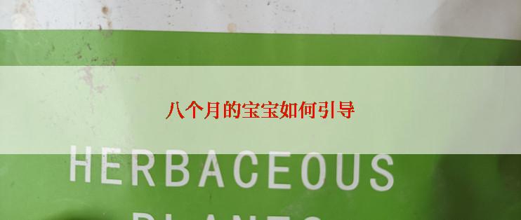 八个月的宝宝如何引导