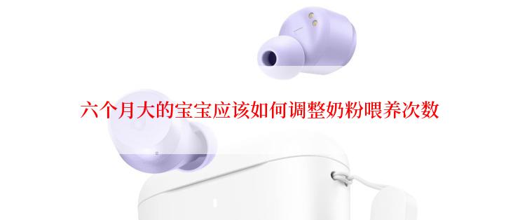 六个月大的宝宝应该如何调整奶粉喂养次数