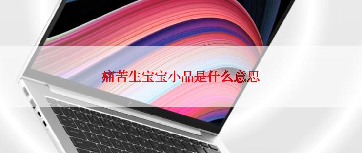痛苦生宝宝小品是什么意思