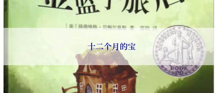  十二个月的宝