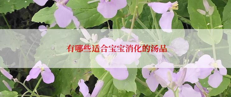  有哪些适合宝宝消化的汤品