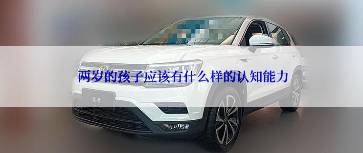 两岁的孩子应该有什么样的认知能力