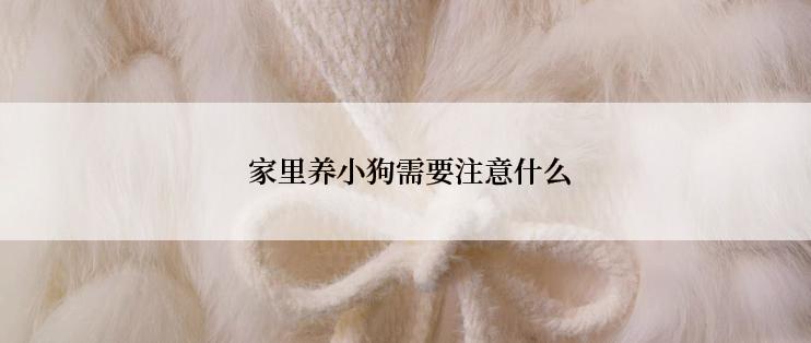  家里养小狗需要注意什么