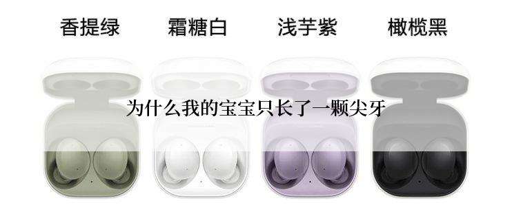 为什么我的宝宝只长了一颗尖牙