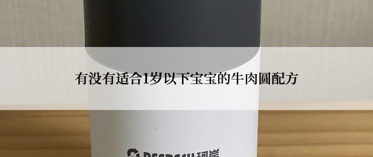 有没有适合1岁以下宝宝的牛肉圆配方