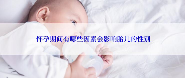  怀孕期间有哪些因素会影响胎儿的性别
