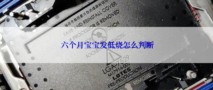  六个月宝宝发低烧怎么判断