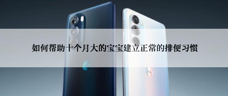  如何帮助十个月大的宝宝建立正常的排便习惯