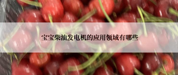  宝宝柴油发电机的应用领域有哪些