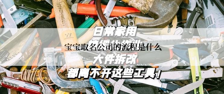  宝宝取名公司的流程是什么