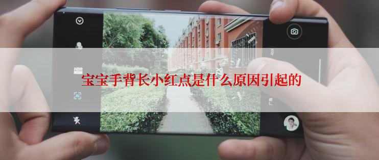  宝宝手背长小红点是什么原因引起的