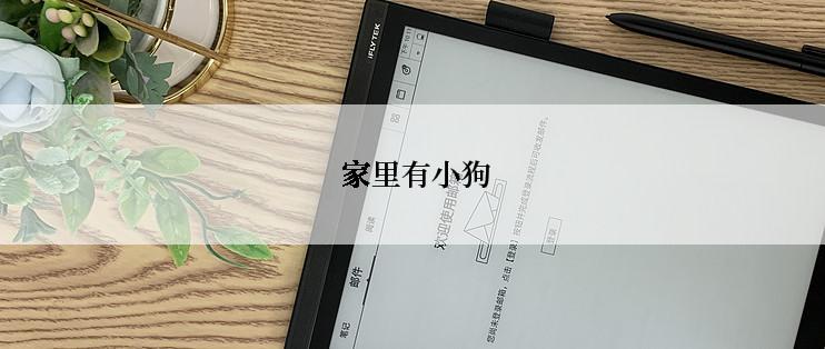  家里有小狗