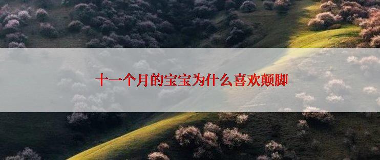  十一个月的宝宝为什么喜欢颠脚