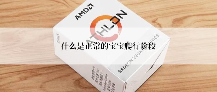 什么是正常的宝宝爬行阶段