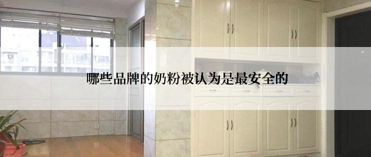  哪些品牌的奶粉被认为是最安全的