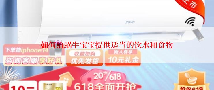 如何给蜗牛宝宝提供适当的饮水和食物