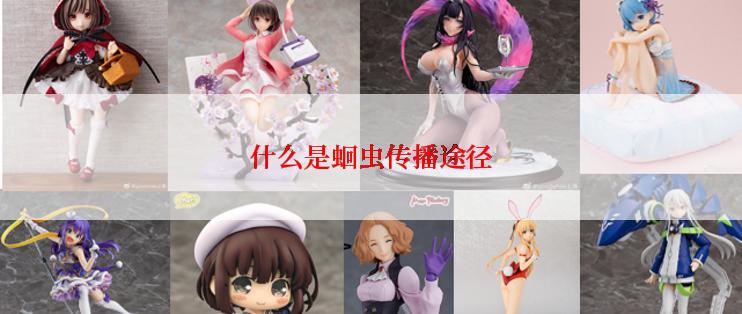 什么是蛔虫传播途径