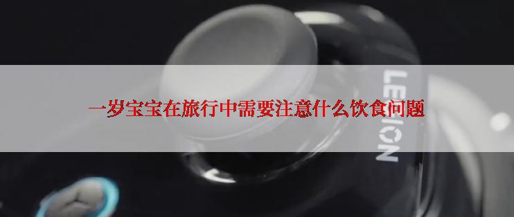 一岁宝宝在旅行中需要注意什么饮食问题