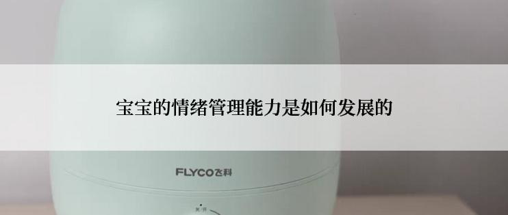 宝宝的情绪管理能力是如何发展的