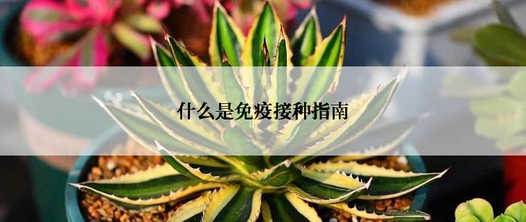 什么是免疫接种指南