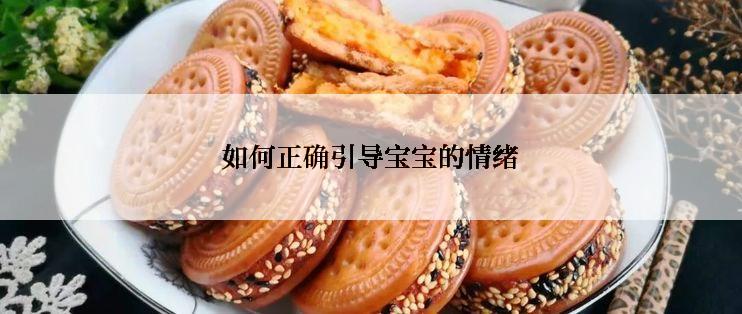 如何正确引导宝宝的情绪