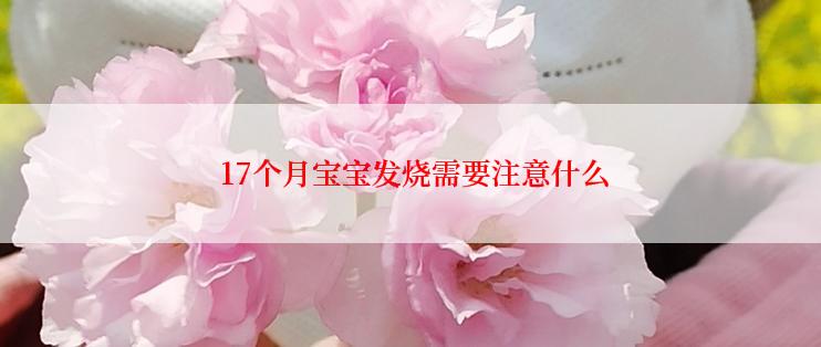  17个月宝宝发烧需要注意什么