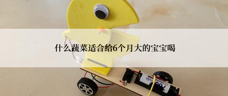  什么蔬菜适合给6个月大的宝宝喝