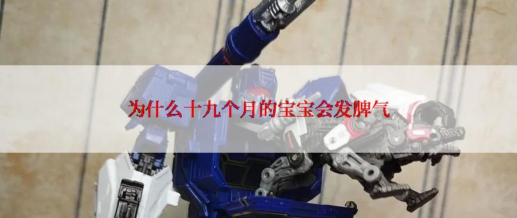 为什么十九个月的宝宝会发脾气