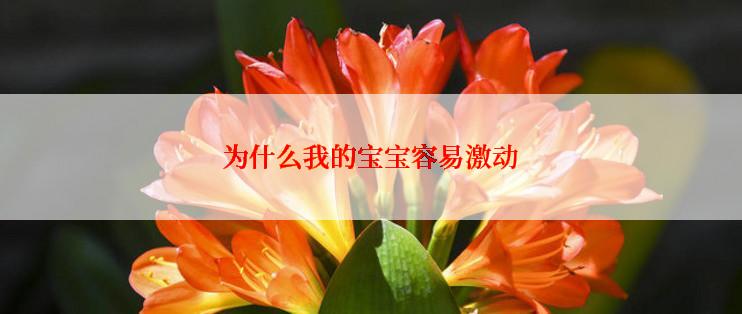 为什么我的宝宝容易激动