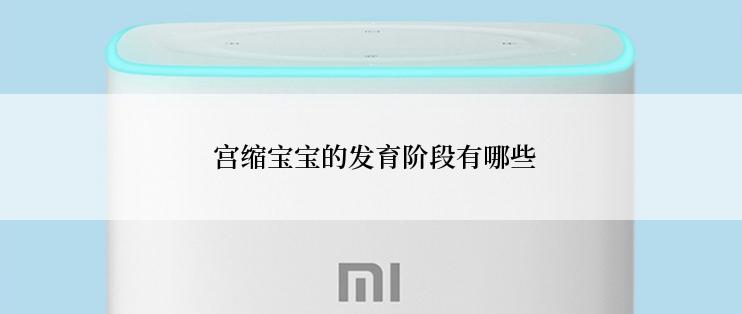  宫缩宝宝的发育阶段有哪些