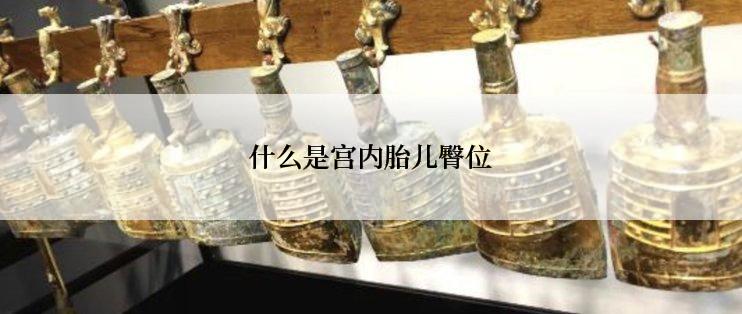 什么是宫内胎儿臀位