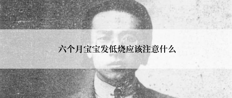  六个月宝宝发低烧应该注意什么