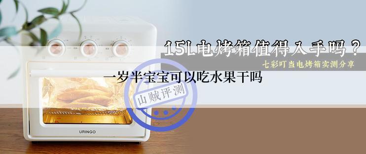 一岁半宝宝可以吃水果干吗