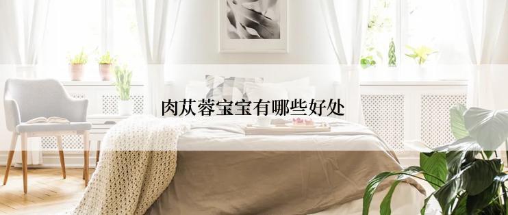 肉苁蓉宝宝有哪些好处