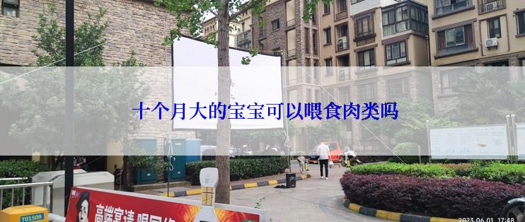  十个月大的宝宝可以喂食肉类吗