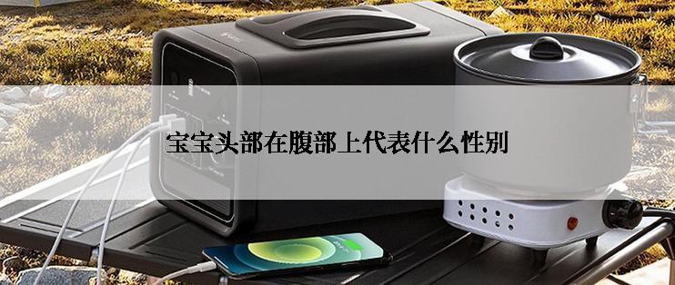 宝宝头部在腹部上代表什么性别