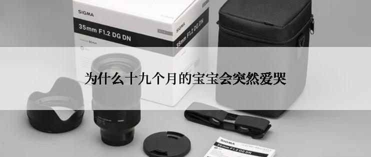 为什么十九个月的宝宝会突然爱哭