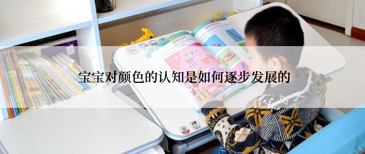  宝宝对颜色的认知是如何逐步发展的