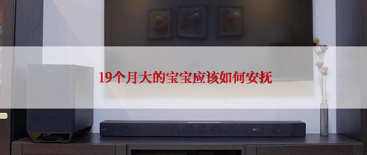  19个月大的宝宝应该如何安抚