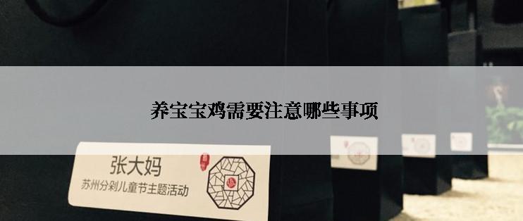  养宝宝鸡需要注意哪些事项