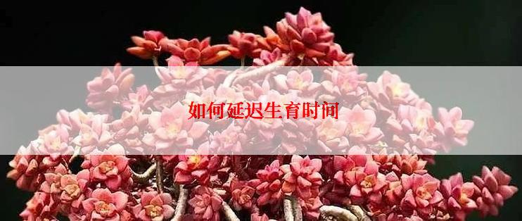  如何延迟生育时间