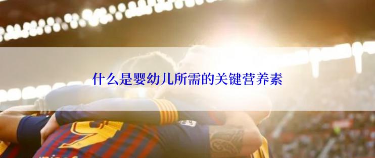 什么是婴幼儿所需的关键营养素