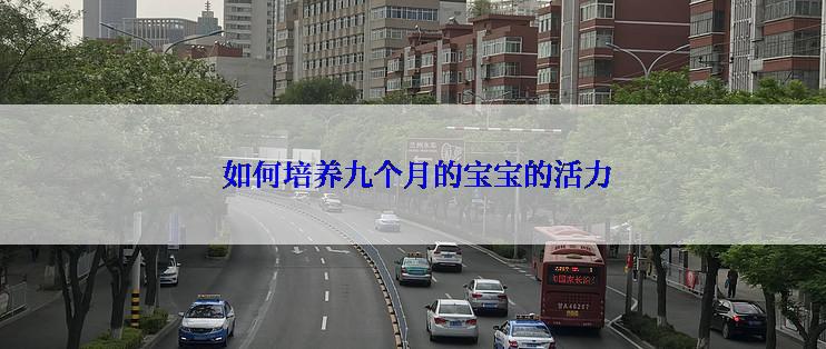  如何培养九个月的宝宝的活力