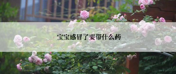  宝宝感冒了要带什么药