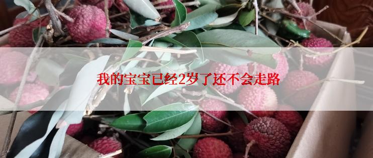  我的宝宝已经2岁了还不会走路