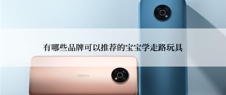 有哪些品牌可以推荐的宝宝学走路玩具