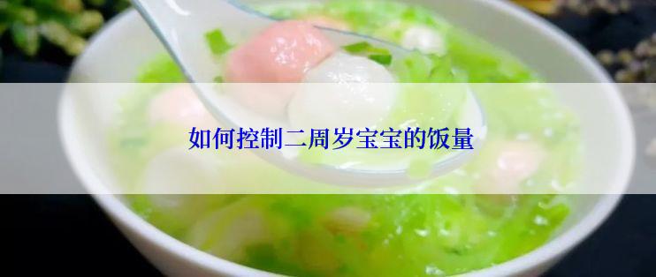  如何控制二周岁宝宝的饭量